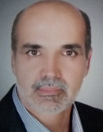 محمد رضا نعمتی