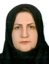 مریم فراغتی