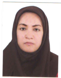فاطمه محمدی طبس
