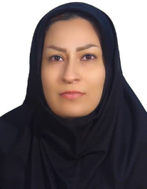 مهین زندوکیل