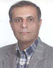 سعید حسن زاده