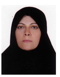 مینا ریخته گر