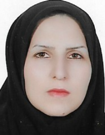 اکرم زارع پور مشیزی زاده