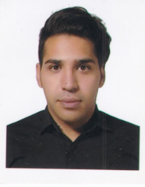 وحید گلمرادی