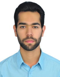 سیدمصطفی شبیری