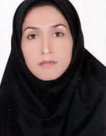 سارا سلطانی چترودی