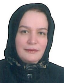فاطمه صغری حجازی