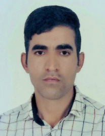 رضا محمودی