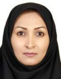 منصوره سرگل زائی
