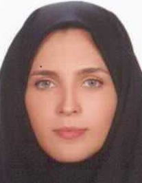 رسا صوفی املشی