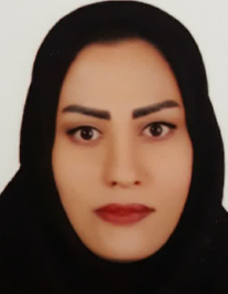نیر علیزاده