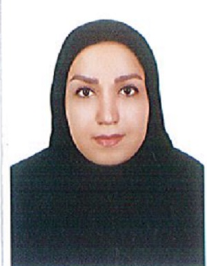 نرگس زائری میامی