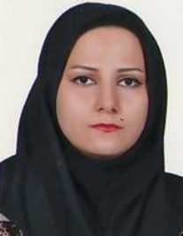 ساناز عبداله پوری حسینی
