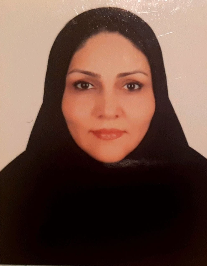 گیتی موسوی محولاتی