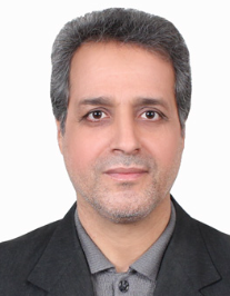 سید احمد مرتضوی