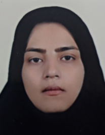 نرگس سلطانی