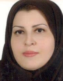 مریم افضلان