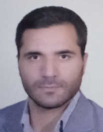 محسن محمدی