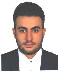 محمد حسین ظلی