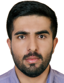 امیر محمدی