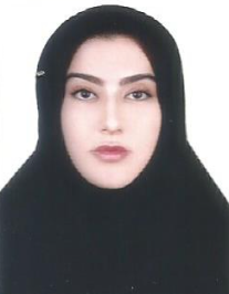 سیده زینب تقوی زاده