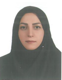 میناسادات علوی حجازی