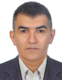 محمد مهدی حسن‌شاهی