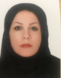 مینا سلیمی