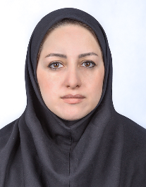 سولماز عزیزی