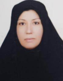 فرزانه نیک رو