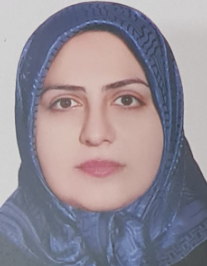 پریسا محمدی