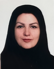 مریم ولی زاده