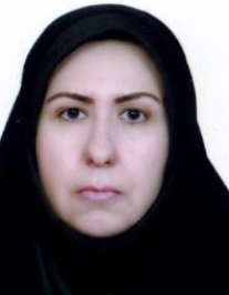 ویدا سادات رضوی نعمت اللهی