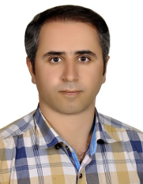 سید مجتبی احمدی