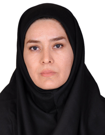 سیدان حسینی کاموس