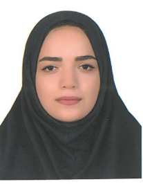 زینب افسرسنگری
