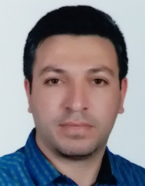 محسن حسن زاده