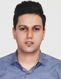 محمدحسین نقدی