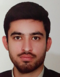 مرتضی طیب