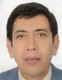 مجتبی محمدزاده