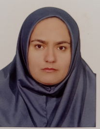 زینب سلیمانی