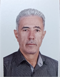احمد سلطان نژاد