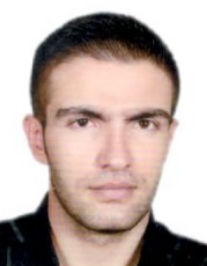 سیدامیررضا افتخارافضلی