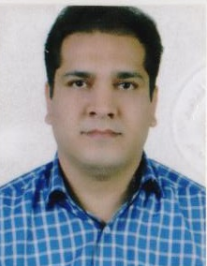 حمید رضا شاه خانی