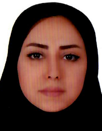 هدیه وطنی