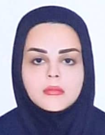 افروز محمودی نیک
