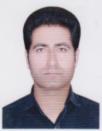 علی افضلی گروه