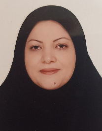 مریم میرحسینی