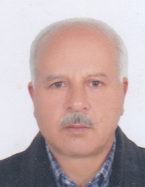 بهار علی فتحی