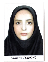 صدیقه لقمانی بهابادی